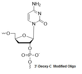 Bio-Synthesis Inc. Oligo Structure